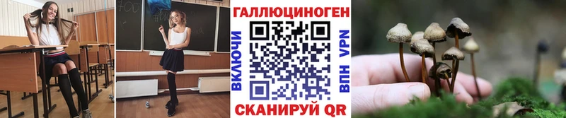 Купить закладки  Отрадный  Галлюциногенные грибы прущие грибы 